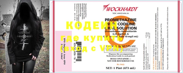 прущие грибы Балахна
