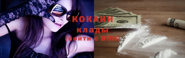 прущие грибы Балахна