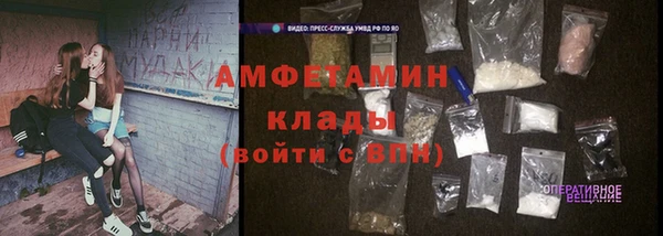 прущие грибы Балахна
