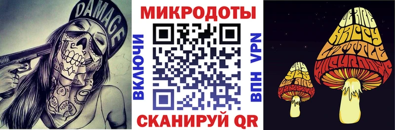 Псилоцибиновые грибы Psilocybine cubensis  Валуйки 